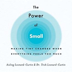 Power of Small by Aisling and Dr. Trish Leonard-Curtin Interview